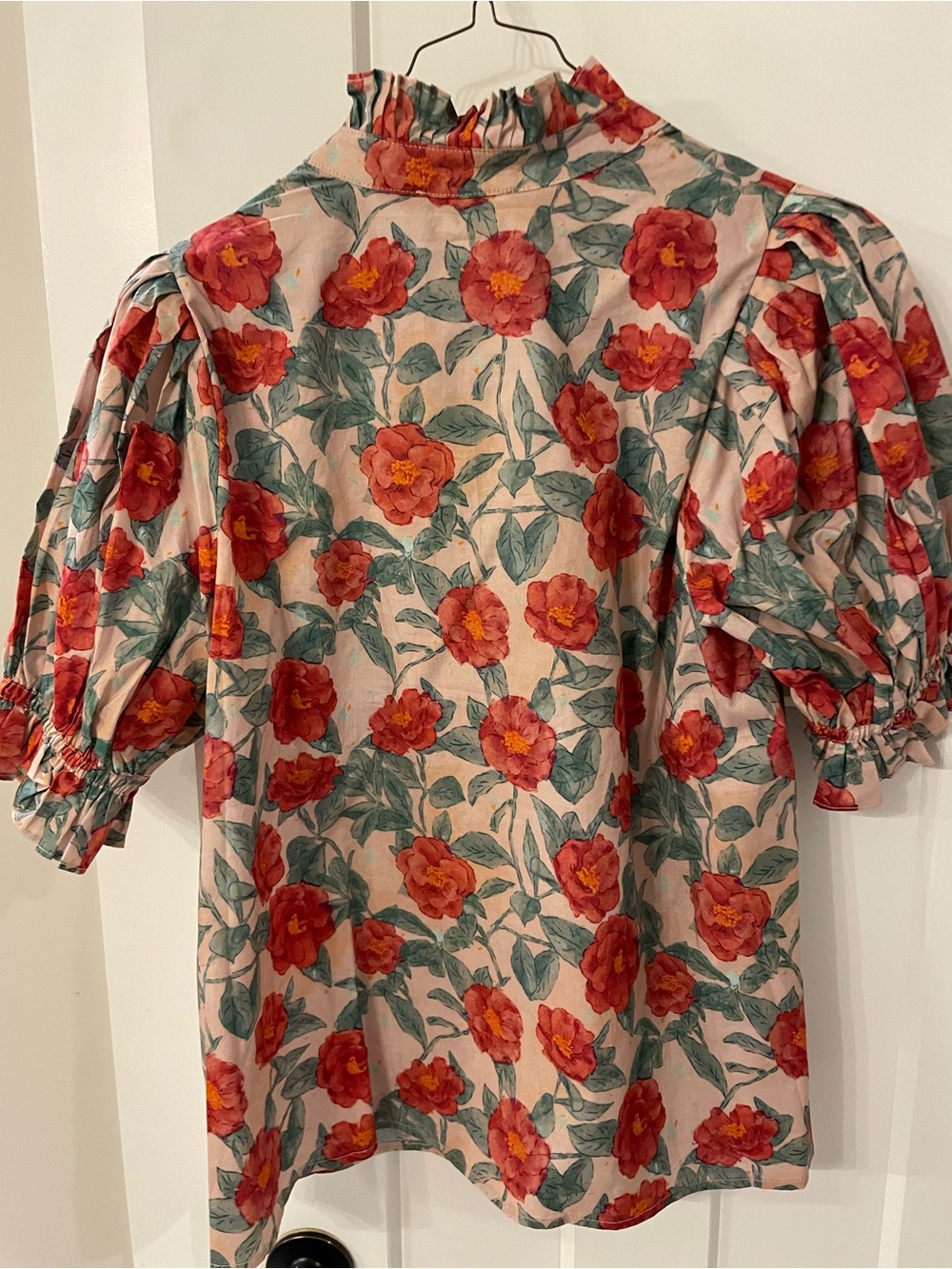 entro Floral Puff-Sleeve Blouse in Blush and Red - Picture 4 of 5